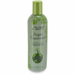 HOLLYWOOD BEAUTY ARGAN ARGAN CONDITIONER 12OZ